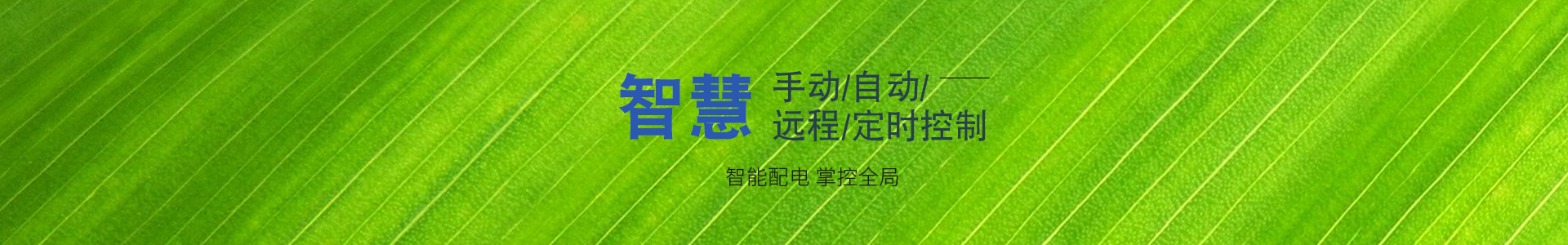 現(xiàn)代農(nóng)業(yè)物聯(lián)網(wǎng)領航者-華勝物聯(lián)網(wǎng)科技有限公司